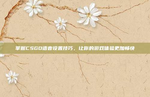 掌握CSGO语音设置技巧，让你的游戏体验更加畅快