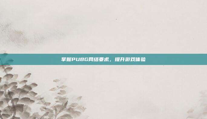 掌握PUBG网络要求，提升游戏体验