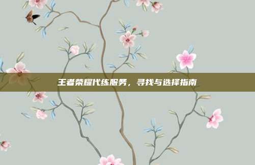 王者荣耀代练服务,寻找与选择指南
