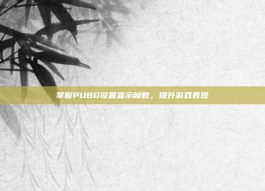 掌握PUBG设置显示帧数，提升游戏表现