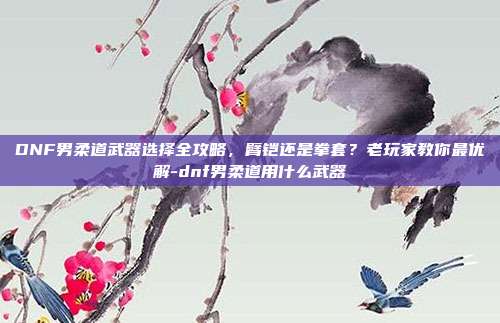 DNF男柔道武器选择全攻略,臂铠还是拳套?老玩家教你最优解-dnf男柔道用什么武器