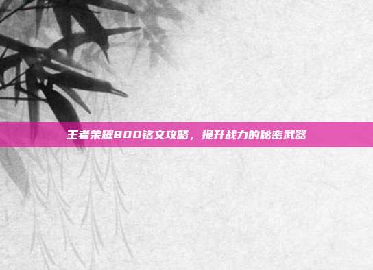 王者荣耀800铭文攻略,提升战力的秘密武器