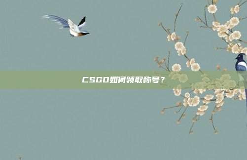 CSGO如何领取称号？