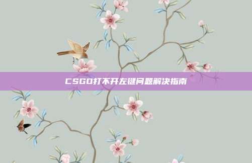 CSGO打不开左键问题解决指南