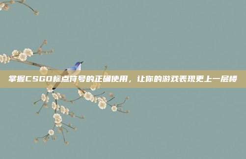 掌握CSGO标点符号的正确使用，让你的游戏表现更上一层楼