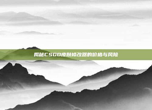 揭秘CSGO皮肤修改器的价格与风险