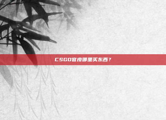 CSGO官皮哪里买东西？