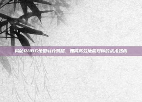 揭秘PUBG地图划分策略,如何高效地规划你的战术路线