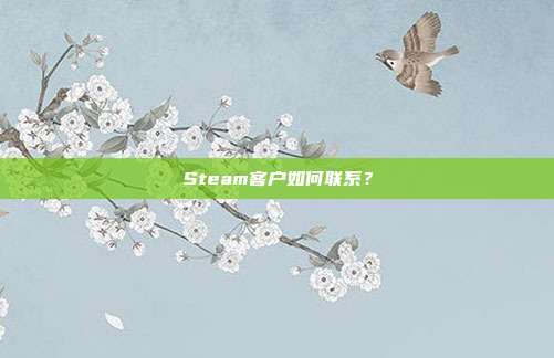 Steam客户如何联系？