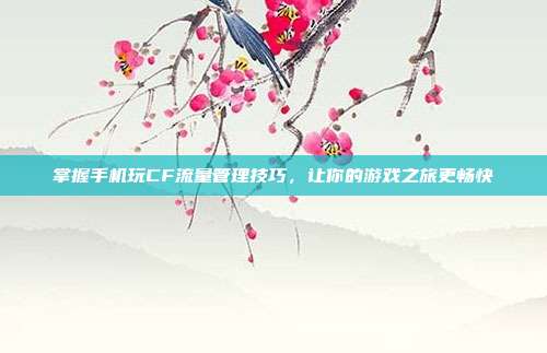 掌握手机玩CF流量管理技巧，让你的游戏之旅更畅快