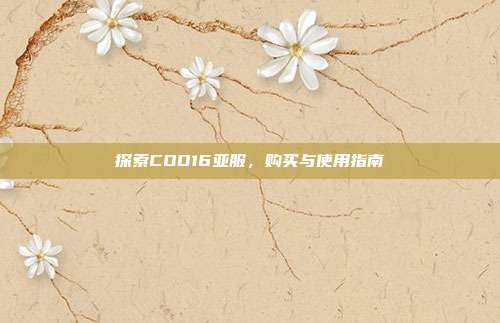 探索COD16亚服，购买与使用指南