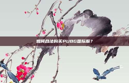 如何合法购买PUBG国际服？