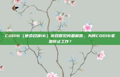 COD16（使命召唤16）游戏常见问题解答，为何COD16老是停止工作？