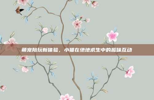 萌宠陪玩新体验，小猫在绝地求生中的趣味互动