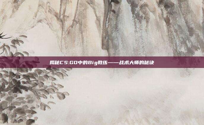 揭秘CS:GO中的Big教练——战术大师的秘诀