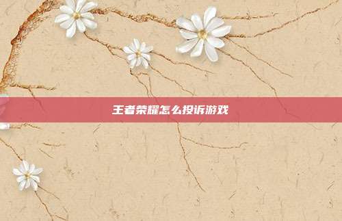 王者荣耀怎么投诉游戏