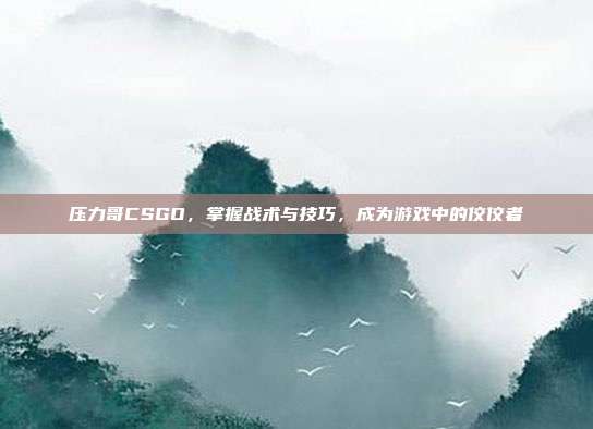 压力哥CSGO，掌握战术与技巧，成为游戏中的佼佼者
