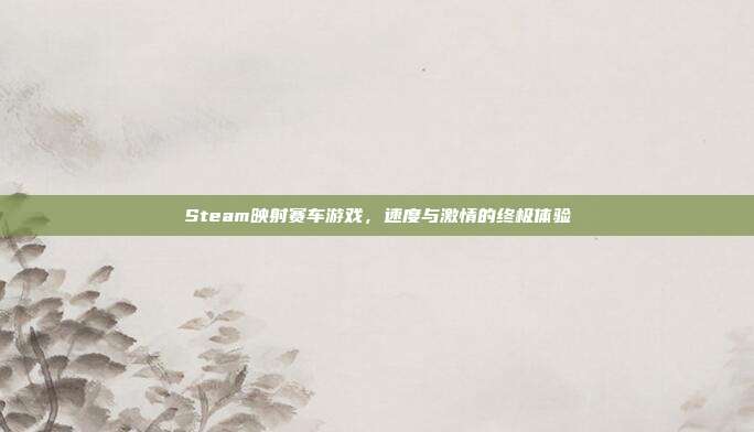 Steam映射赛车游戏,速度与激情的终极体验
