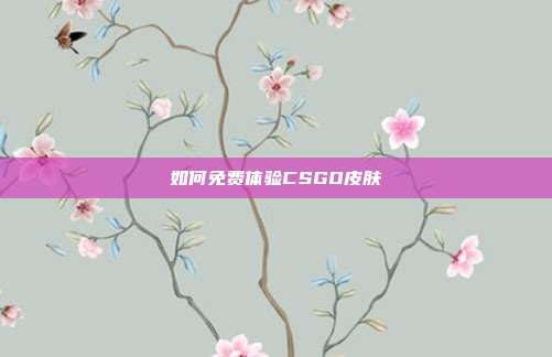 如何免费体验CSGO皮肤