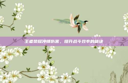 王者荣耀冲锋伤害，提升战斗效率的秘诀