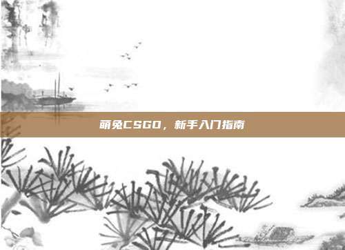 萌兔CSGO，新手入门指南