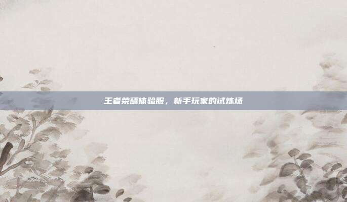 王者荣耀体验服，新手玩家的试炼场