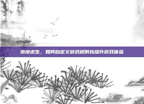 绝地求生，如何自定义游戏规则以提升游戏体验