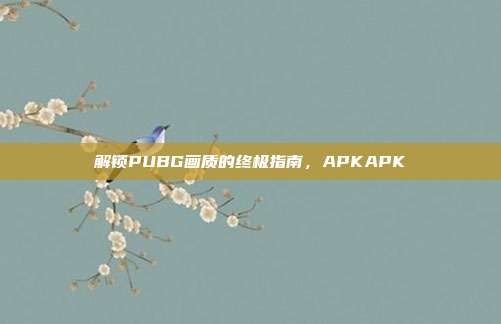 解锁PUBG画质的终极指南，APKAPK