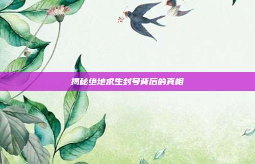 揭秘绝地求生封号背后的真相