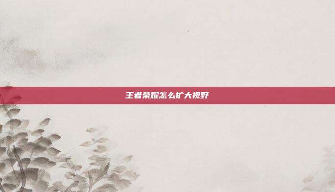 王者荣耀怎么扩大视野