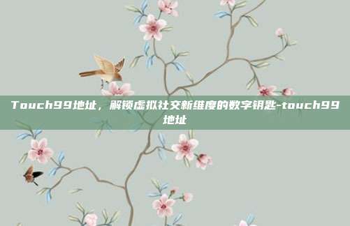 Touch99地址,解锁虚拟社交新维度的数字钥匙-touch99地址