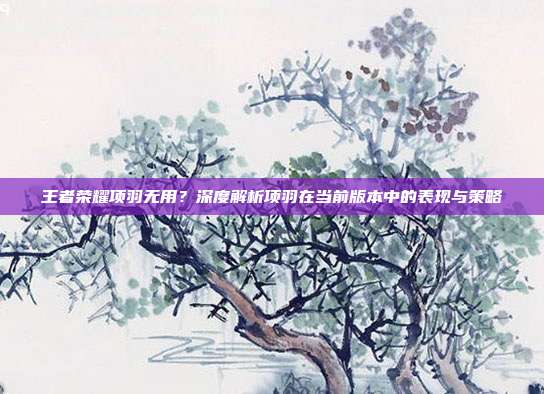 王者荣耀项羽无用?深度解析项羽在当前版本中的表现与策略