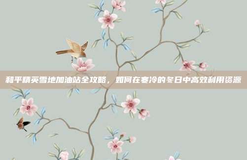 和平精英雪地加油站全攻略，如何在寒冷的冬日中高效利用资源