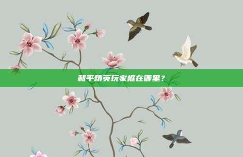 和平精英玩家框在哪里?