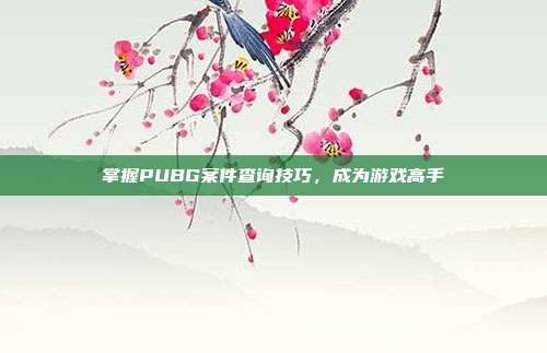 掌握PUBG案件查询技巧，成为游戏高手