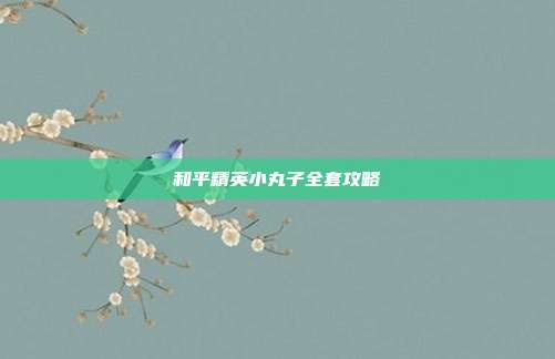 和平精英小丸子全套攻略