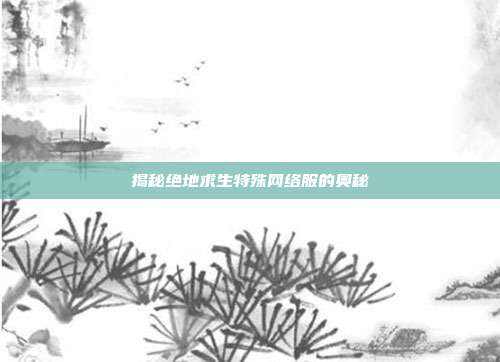 揭秘绝地求生特殊网络服的奥秘