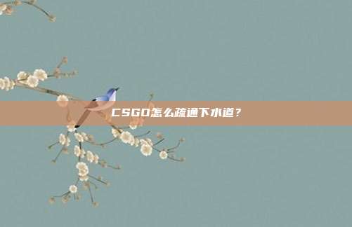 CSGO怎么疏通下水道?