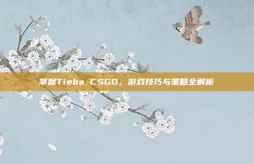 掌握Tieba CSGO，游戏技巧与策略全解析