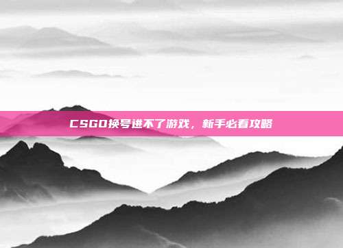 CSGO换号进不了游戏,新手必看攻略