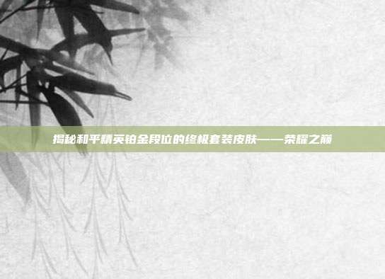 揭秘和平精英铂金段位的终极套装皮肤——荣耀之巅