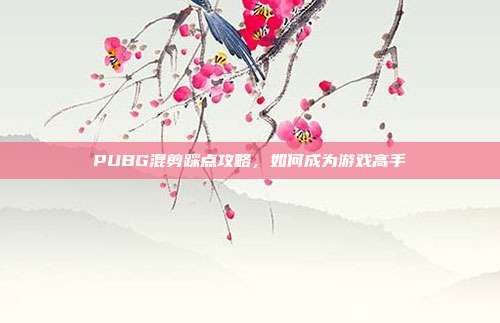 PUBG混剪踩点攻略，如何成为游戏高手