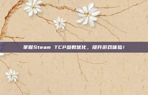 掌握Steam TCP参数优化，提升游戏体验！