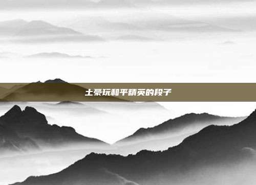 土豪玩和平精英的段子