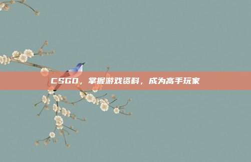 CSGO，掌握游戏资料，成为高手玩家