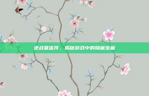 逆战夏盔件,揭秘游戏中的隐藏宝藏