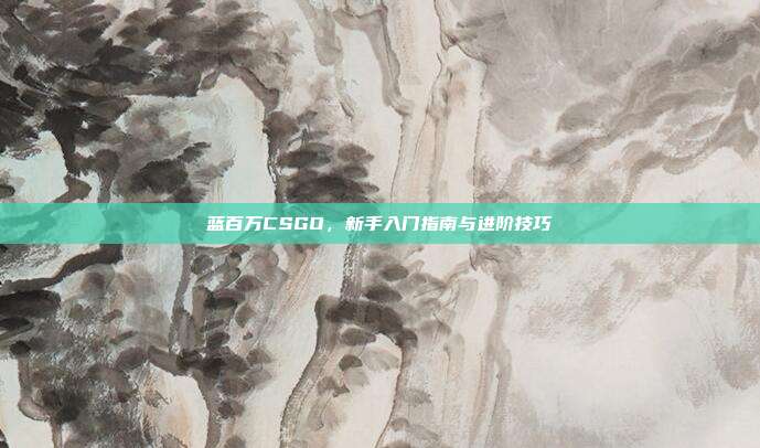 蓝百万CSGO,新手入门指南与进阶技巧
