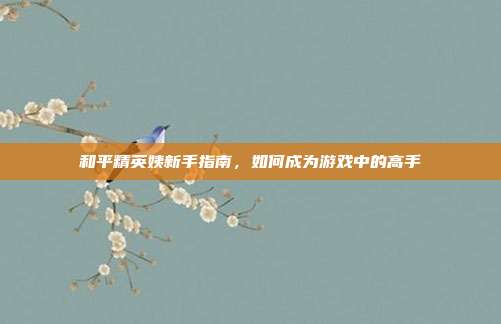 和平精英姨新手指南，如何成为游戏中的高手