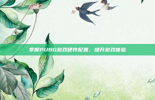 掌握PUBG游戏硬件配置，提升游戏体验