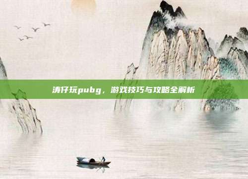 涛仔玩pubg，游戏技巧与攻略全解析